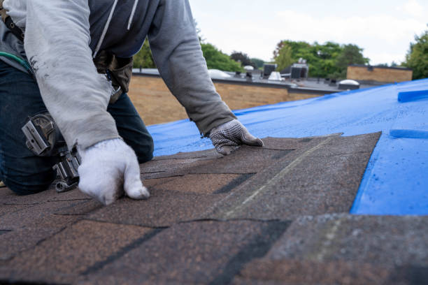 Quick and Trustworthy Emergency Roof Repair Services in Brownsville, TX